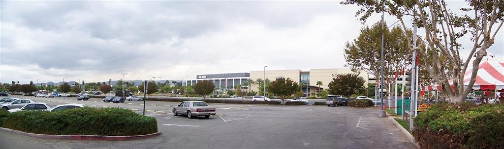 park lot avoid pumpkins